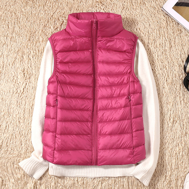 Fuchsia / 4XL